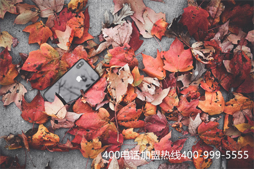 (內蒙古全國400電話選號資費標準)(內蒙古全國400電話套餐費用標準)