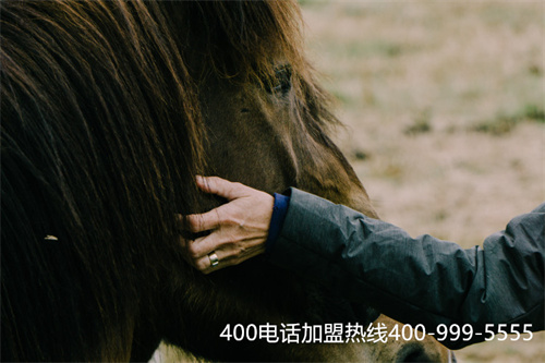 400電話在申請