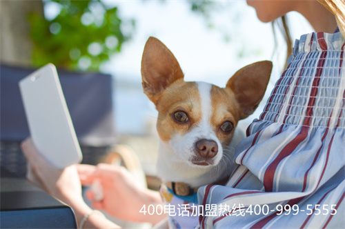 (遼寧企業(yè)辦理400電話資費標準)(如何辦理400電話沈陽)