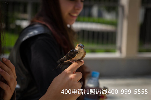 (400電話功能介紹 400電話功能設置)(400電話等待時間如何設置?)